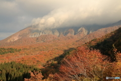 陰と陽