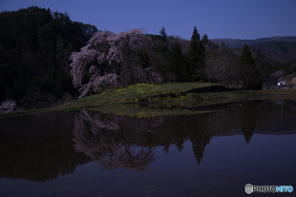 月下与一野