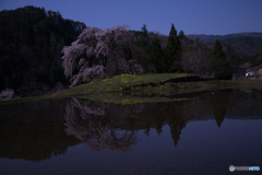 月下与一野