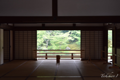京都天龍寺