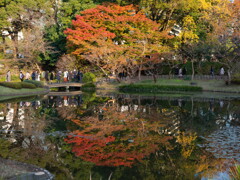 皇居東御苑の紅葉