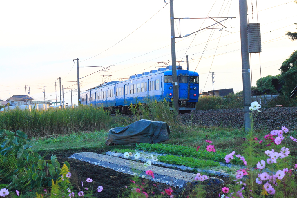 電車に出会った～♪