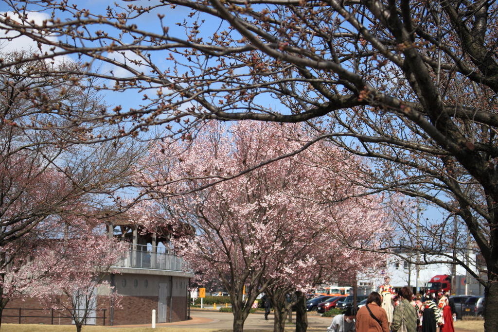 晴天に恵まれた・・大学卒業の日