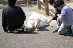 どちらも楽しい春休み　＾＾