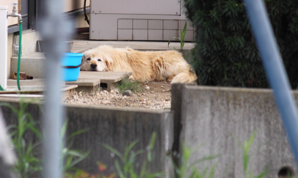 眠いのですが～