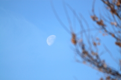 青空とお月さま