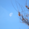 青空とお月さま