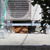 日向ぼっこ