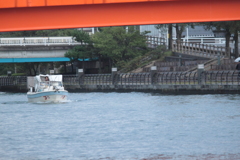 颯爽と海へ