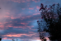 今朝の空１