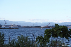 今朝の富山湾風景