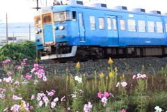 電車に出会った～♪２