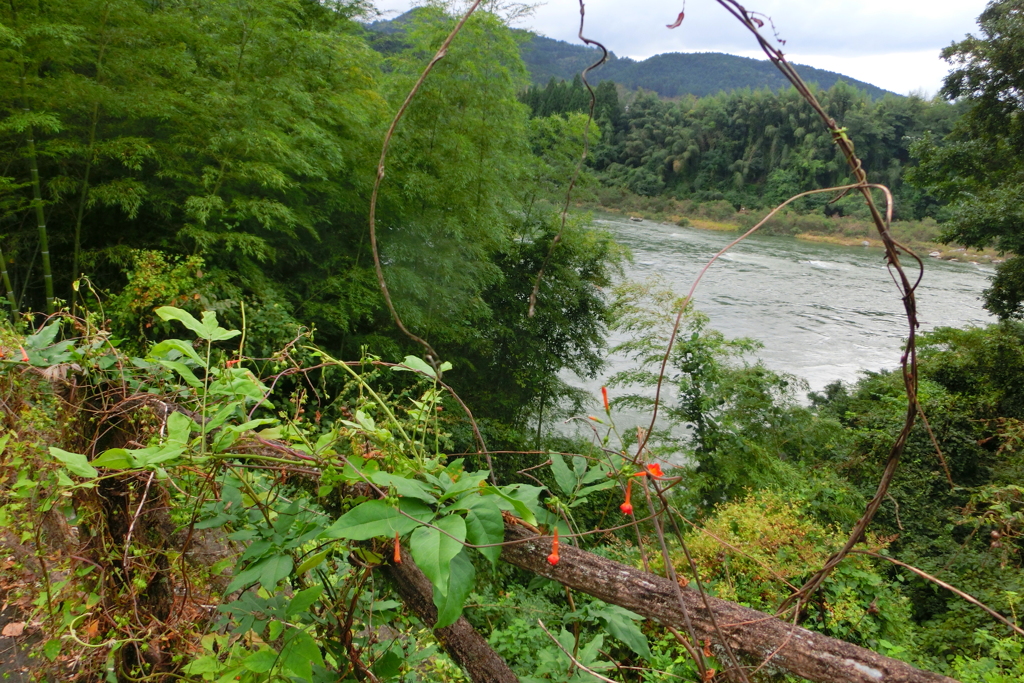 向こうに見えますのは木曽川でございます。