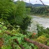 向こうに見えますのは木曽川でございます。