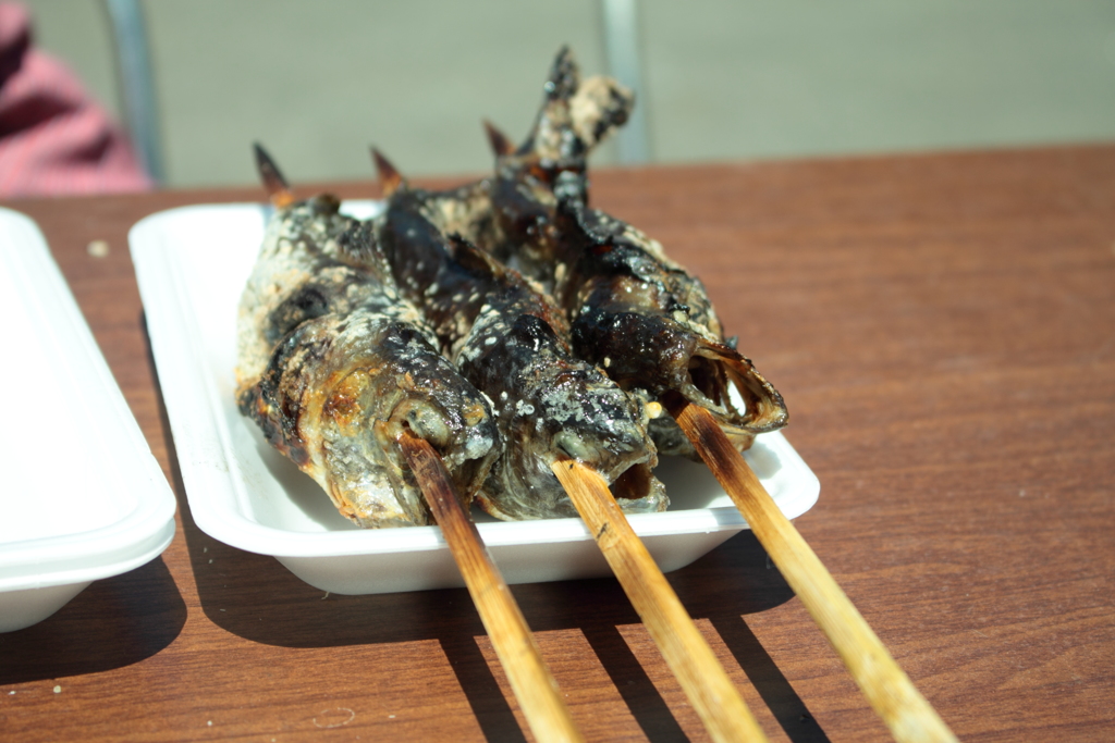イワナの塩焼き・・大好き！
