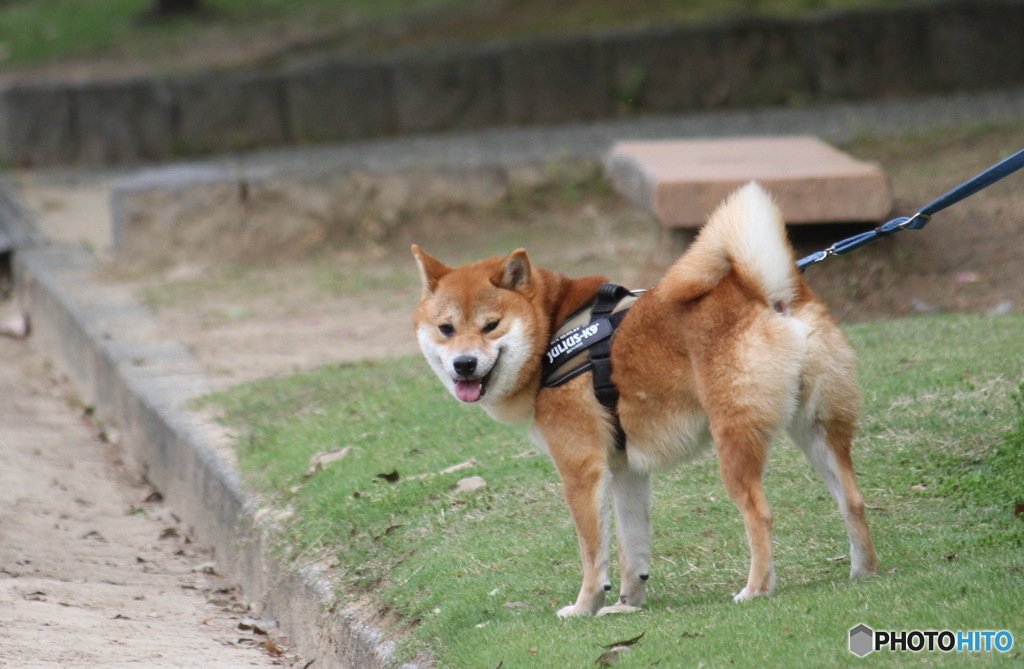 見てたのね！