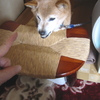 アッチむいてホイ..してみたら～＾＾；