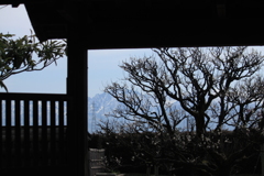 垣間見る春の立山連峰