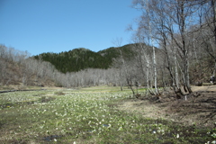 飛騨　池の原湿原　２