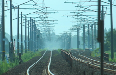 どんな電車が現れるのかな