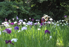 花菖蒲園　カメラを楽しむ人