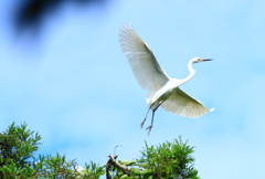 飛びます・・飛びます☆