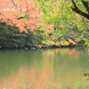 晩秋の映り込み