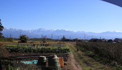 出先より望む今日の立山連峰