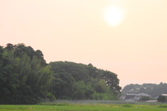 今日も一日良い日になりますように～