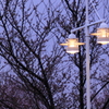 雨模様の空と・・さくらと街灯