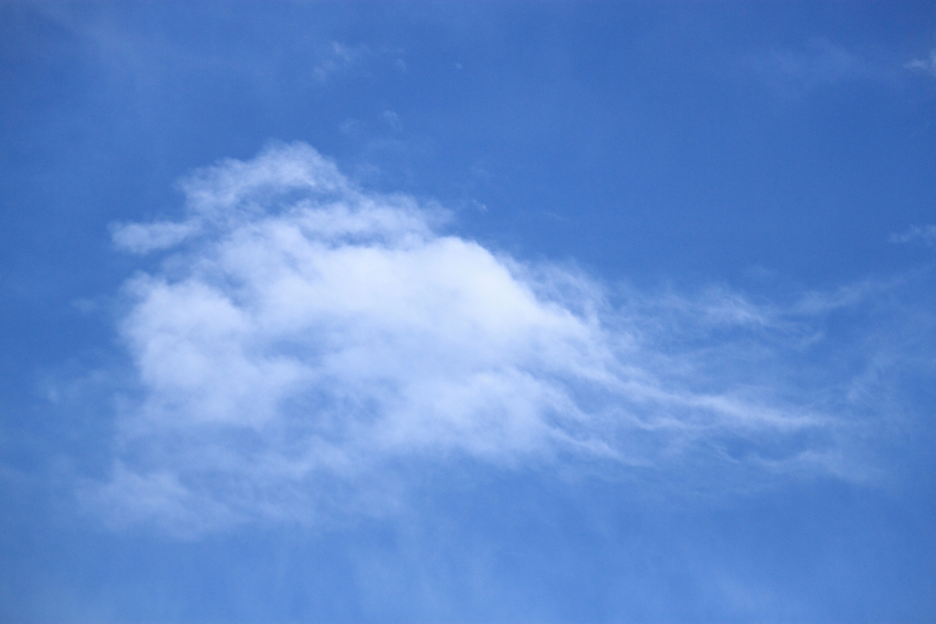 悟空さんが乗ってるような今朝の雲