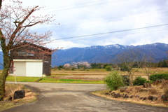 桜咲く風景・・城端