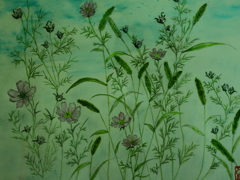 チョッピリ気になる秋の草花