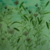 チョッピリ気になる秋の草花