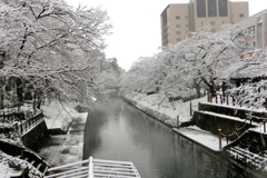 雪の松川