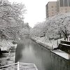 雪の松川