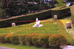 花時計　☆