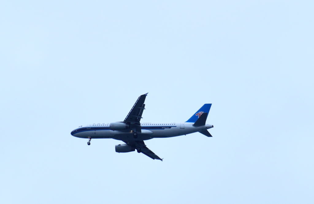 飛行機が飛んできた～