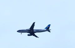 飛行機が飛んできた～