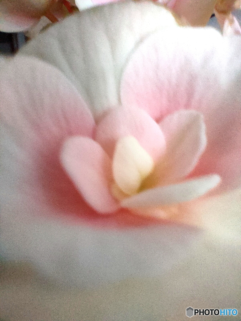 優しさをありがとう