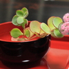 ちょっとだけお洒落をしてみたミセバヤ