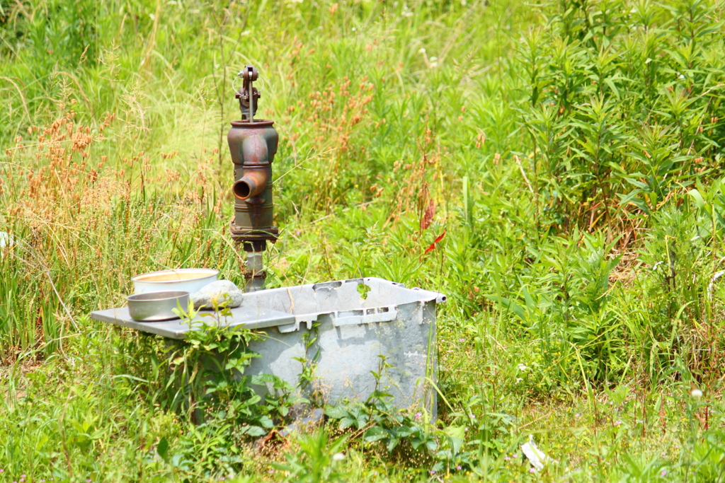 河川敷の大切な水源みたいです。＾＾