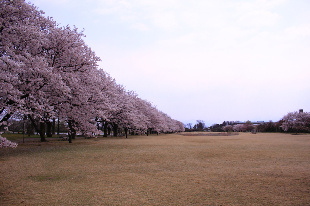 こんな風景は初めて・・