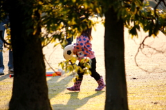 楽しいボール遊び