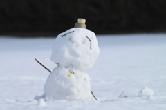 何かと思ったら雪ダルマだった～ (＾◇＾)