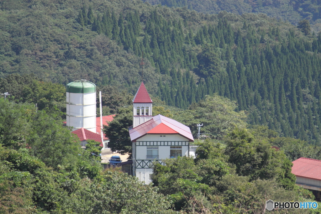 稲葉山より見下ろす赤い屋根の可愛い建物