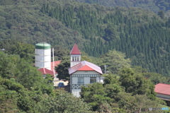 稲葉山より見下ろす赤い屋根の可愛い建物