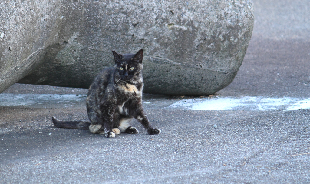これはどうも・・初めまして