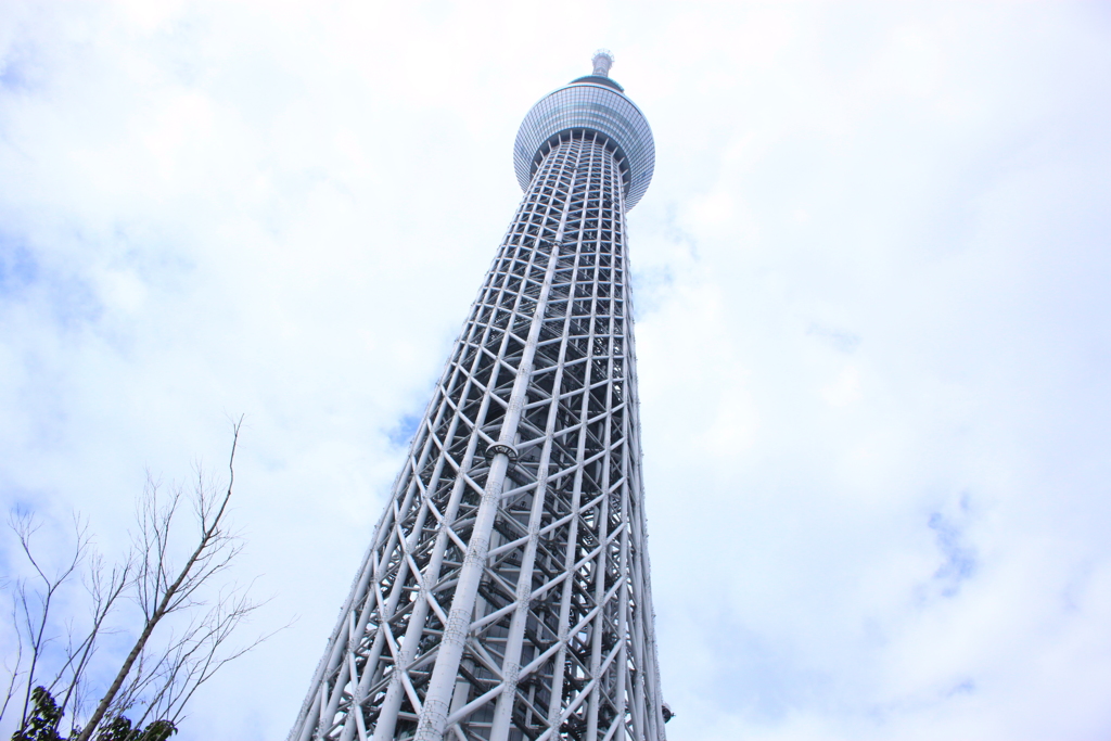 思ったように撮れないスカイツリー