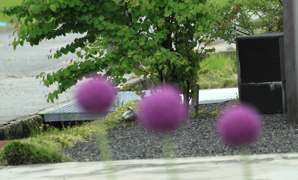 通りすぎる景色
